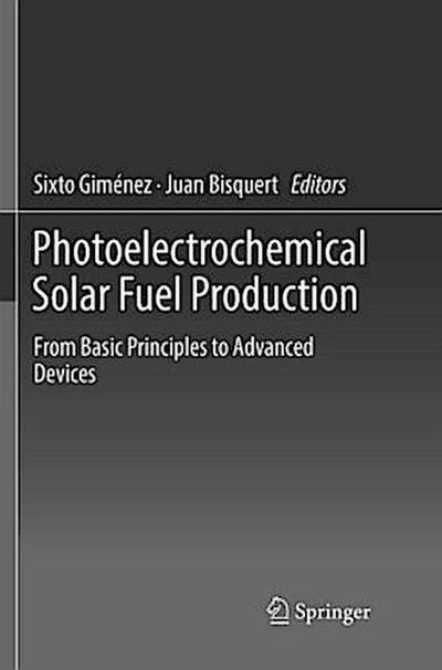 Photoelectrochemical Solar Fuel Production