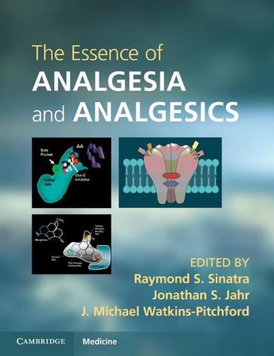 The Essence of Analgesia and Analgesics