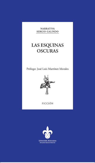 Las esquinas oscuras