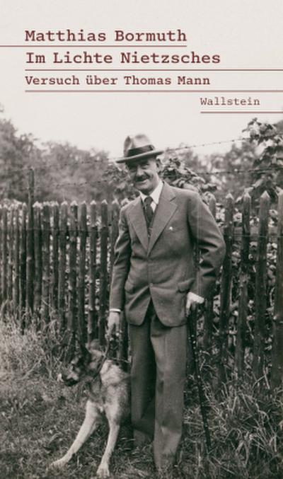 Im Lichte Nietzsches