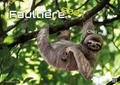 Faultiere - Chill mal! 2027