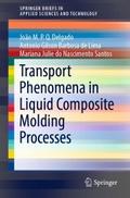 Transport Phenomena in Liquid Composite Molding Pr