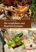 Die Amphibien und Reptilien Europas