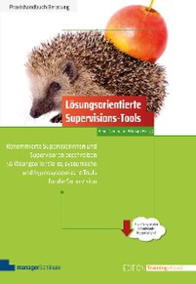 Lösungsorientierte Supervisions-Tools
