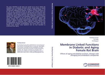 Membrane Linked Functions in Diabetic and Aging Female Rat Brain