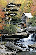 Affair at Boreland Springs