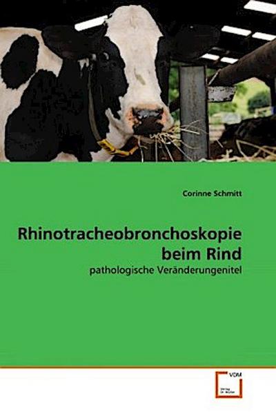 Rhinotracheobronchoskopie beim Rind