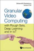 GRANULAR VIDEO COMPUTING