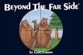 Beyond the Far Side(r)