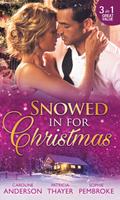 Snowed In For Christmas