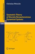 Geometric Theory of Discrete Nonautonomous Dynamic