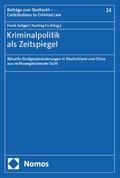 Kriminalpolitik als Zeitspiegel