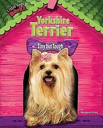 Yorkshire Terrier: Tiny But Tough