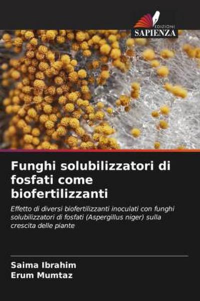 Funghi solubilizzatori di fosfati come biofertilizzanti