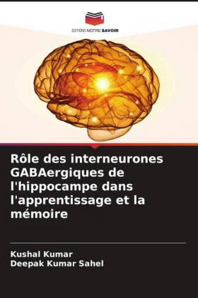Rôle des interneurones GABAergiques de l’hippocampe dans l’apprentissage et la mémoire