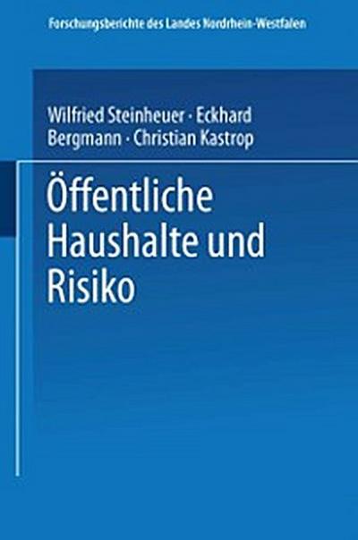 Öffentliche Haushalte und Risiko