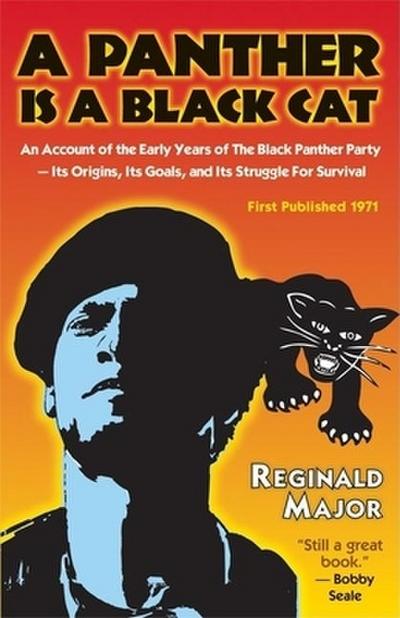 Panther Is a Black Cat