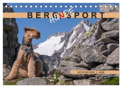 Berg-Hunde-Sport (Tischkalender 2025 DIN A5 quer), CALVENDO Monatskalender