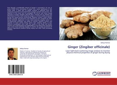 Ginger (Zingiber officinale)