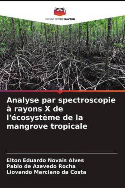 Analyse par spectroscopie à rayons X de l’écosystème de la mangrove tropicale