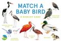 Match a Baby Bird