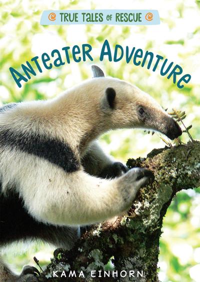 Anteater Adventure