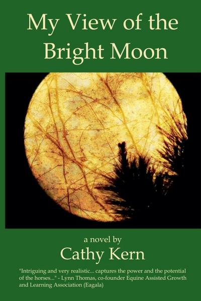 My View of the Bright Moon