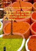 The Role of Business Incubators in the Economic Gr