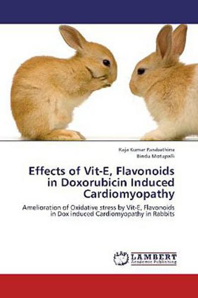 Effects of Vit-E, Flavonoids in Doxorubicin Induced Cardiomyopathy