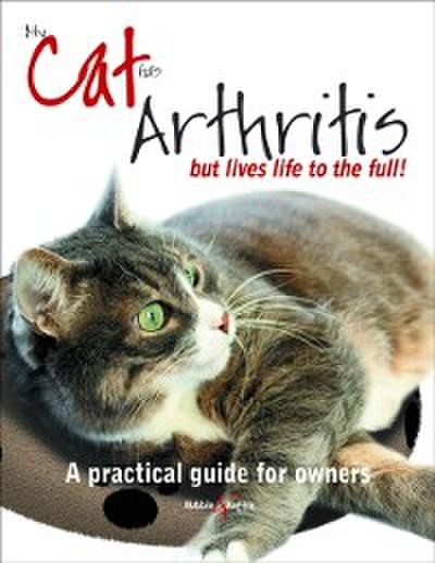 My Cat Has Arthritis ...