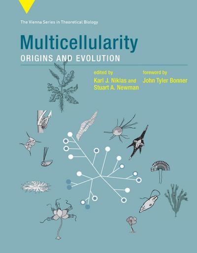 Multicellularity