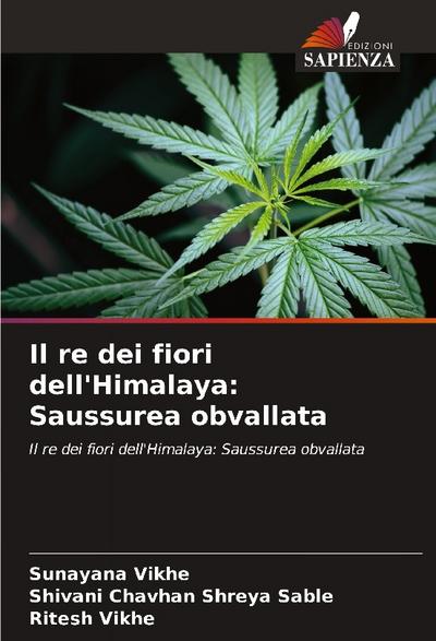 Il re dei fiori dell’Himalaya: Saussurea obvallata
