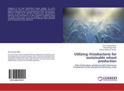 Utilizing rhizobacteria for sustainable wheat production