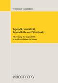 Jugendkriminalität, Jugendhilfe und Strafjustiz