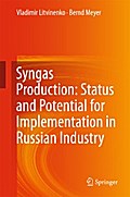 Syngas Production: Status and Potential for Implementation in Russian Industry