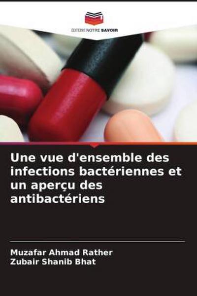 Une vue d’ensemble des infections bactériennes et un aperçu des antibactériens