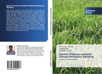 Aspartic Protease-mediated Disease Resistance Signaling