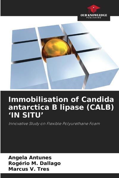 Immobilisation of Candida antarctica B lipase (CALB) ’IN SITU’