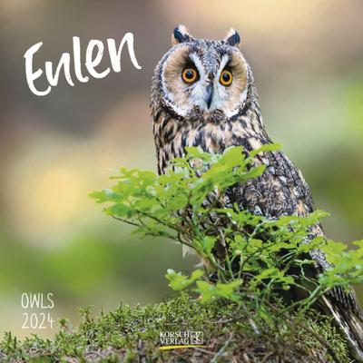 Eulen 2024