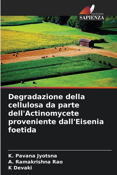 Degradazione della cellulosa da parte dell’Actinomycete proveniente dall’Eisenia foetida