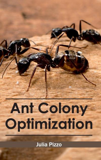 Ant Colony Optimization