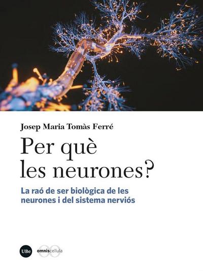 Per què les neurones?