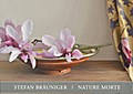 Stefan Bräuniger - Nature Morte
