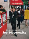 Die Lizenz zu sehen: Joel Meyerowitz