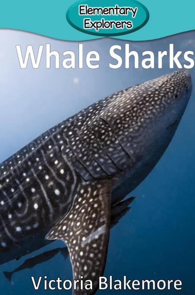 Whale Sharks