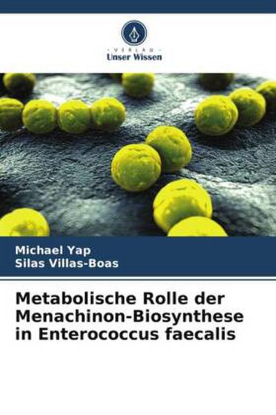 Metabolische Rolle der Menachinon-Biosynthese in Enterococcus faecalis