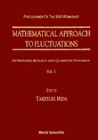Mathematical Approach To Fluctuations - Proceedings Of The Kyoto Workshop