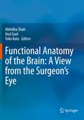 Functional Anatomy of the Brain: A View from the Surgeon’s Eye