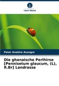 Die ghanaische Perlhirse [Pennisetum glaucum,(L), 