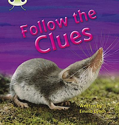 Bug Club Phonics - Phase 5 Unit 18: Follow the Clues